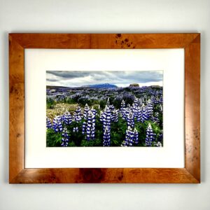 I Bloma (Framed Print)