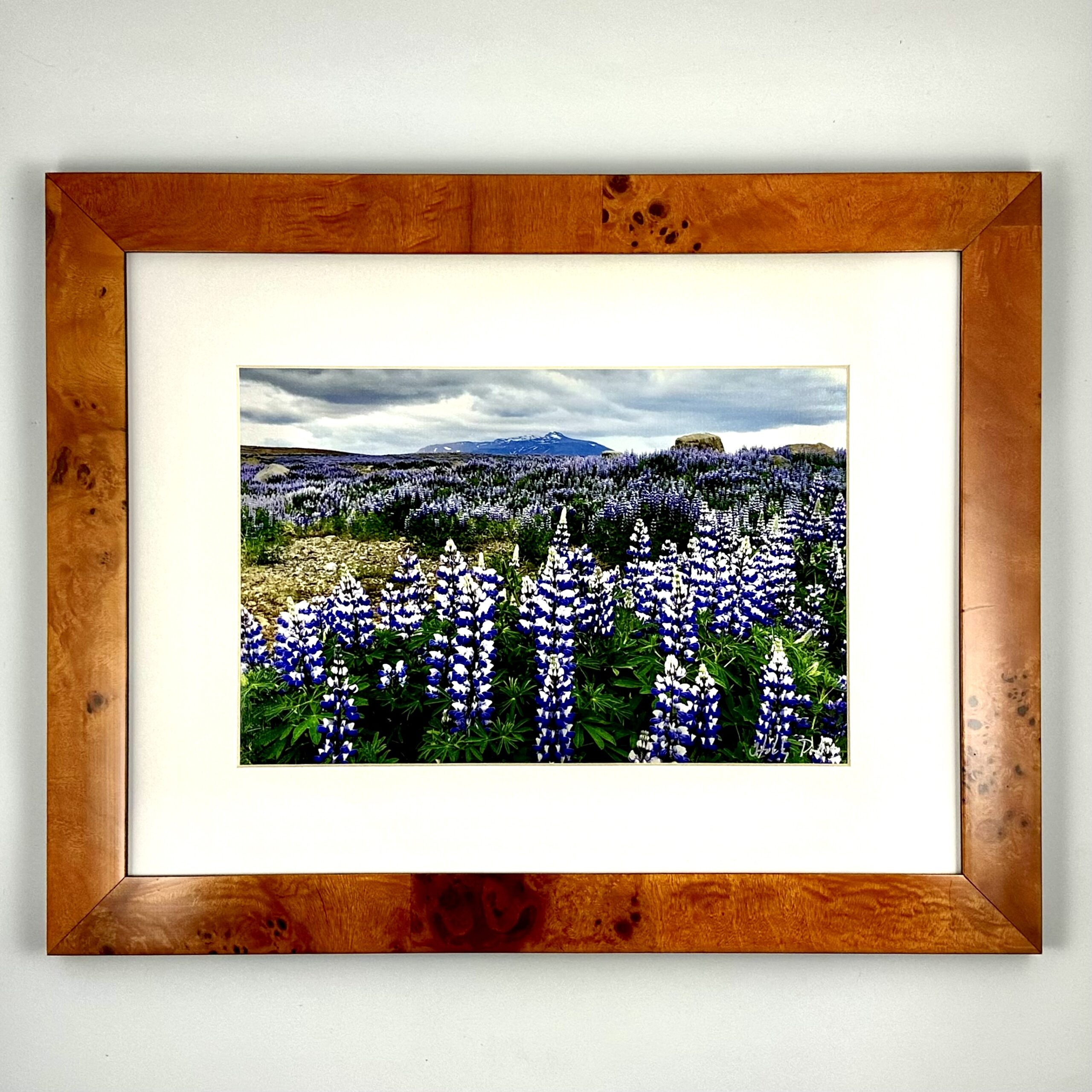I Bloma (Framed Print) - Image 1