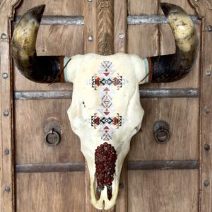 Jasper (Bovine Skull) - Image 1