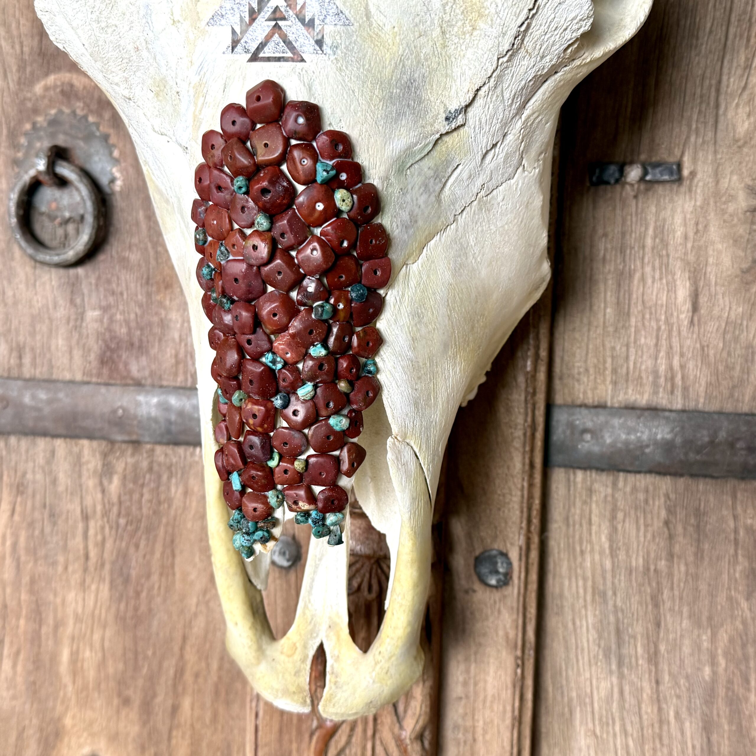 Jasper (Bovine Skull) - Image 4