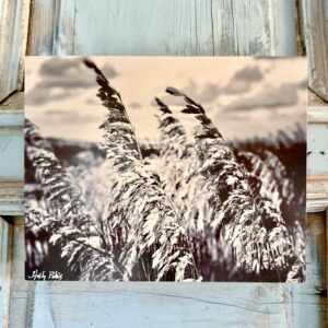 Scattered Light (Wood Print)