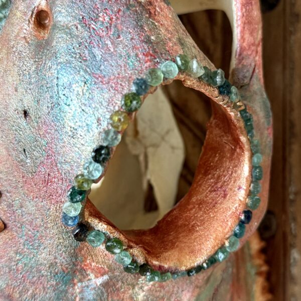 Pearl (Bovine Skull)