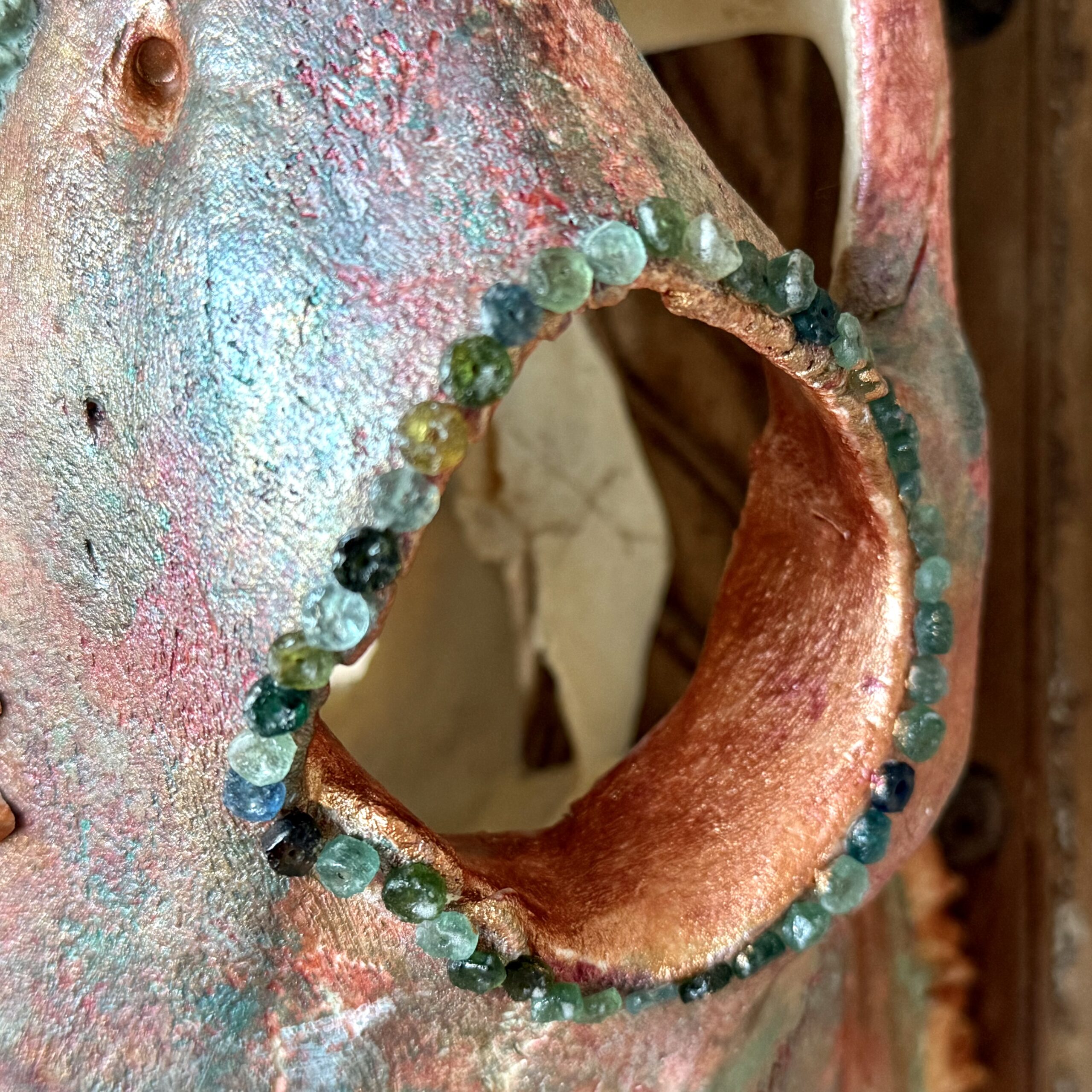 Pearl (Bovine Skull) - Image 4