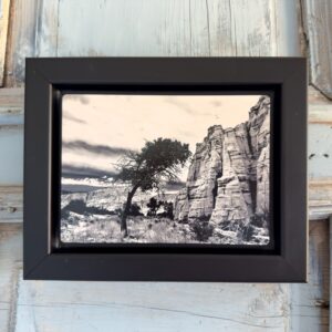 Solitary (Framed Metal Print)