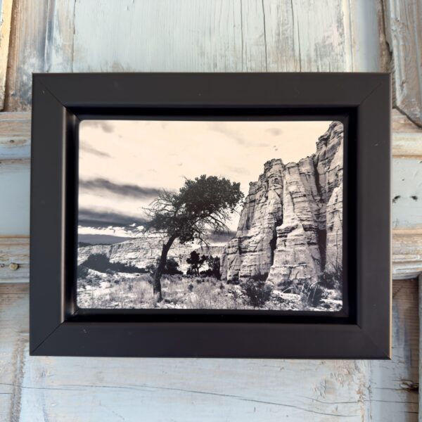 Solitary (Framed Metal Print)