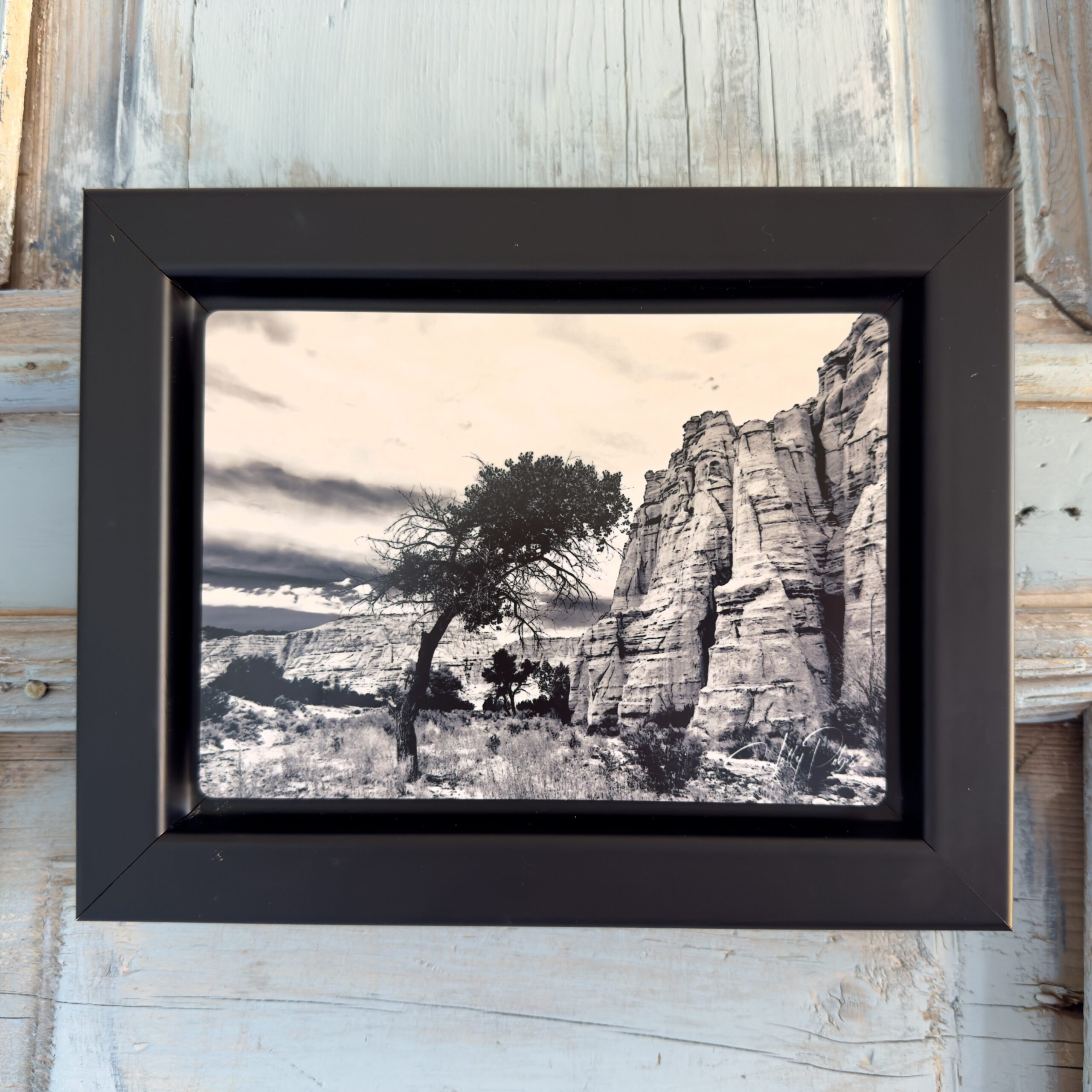 Solitary (Framed Metal Print) - Image 1