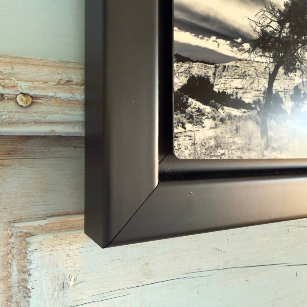 Solitary (Framed Metal Print)