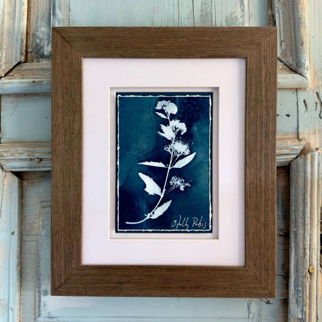 Southwest Cyan 1 (Cyanotype)
