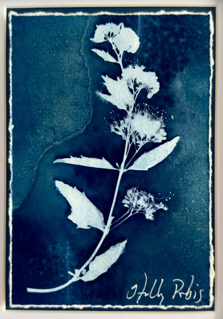 Southwest Cyan 1 (Cyanotype)