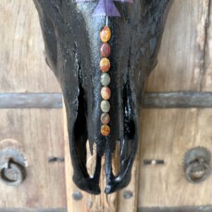 Ebony (Natural Bovine Skull) - Image 4