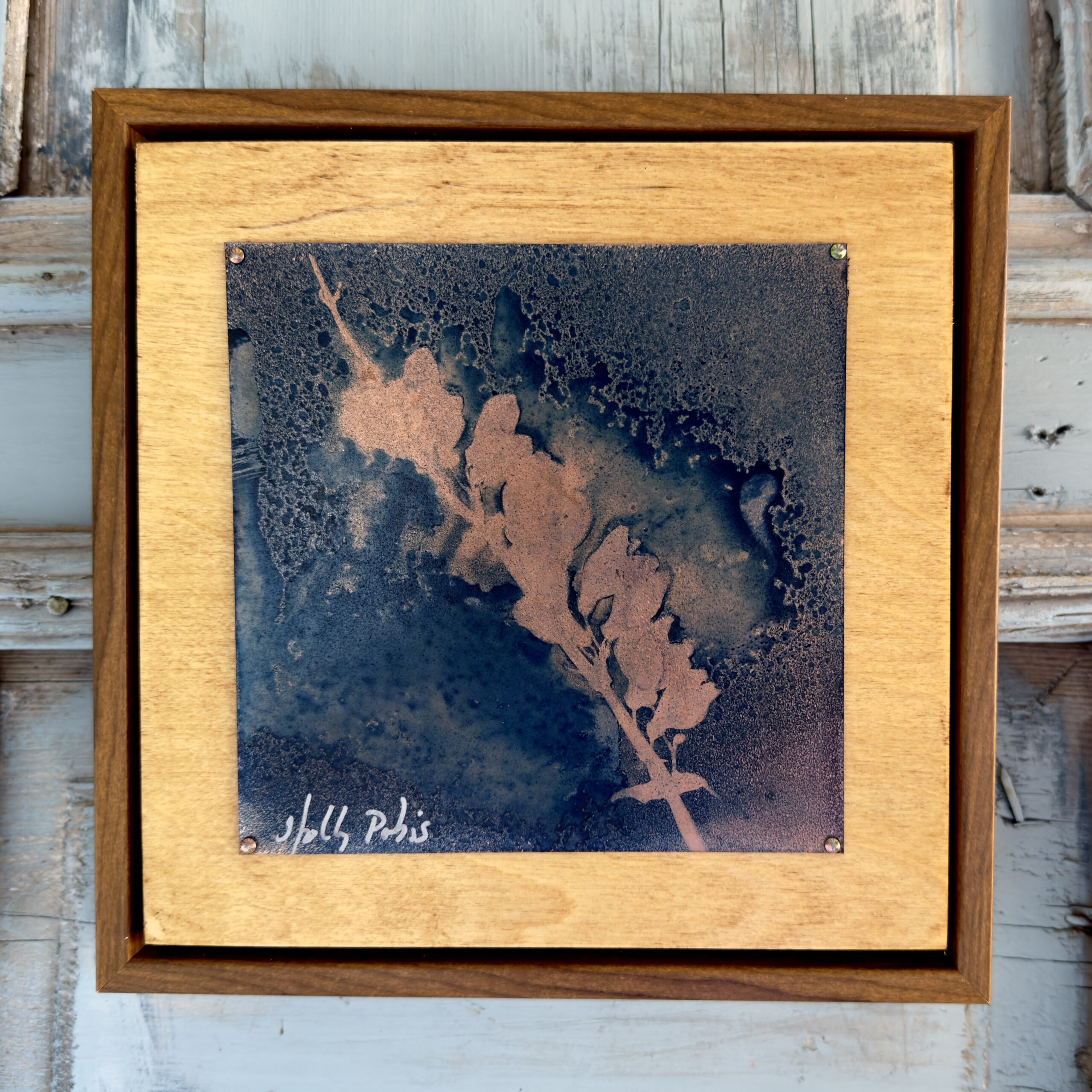 Foxglove Copper (Cyanotype) - Image 1