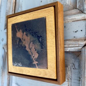 Foxglove Copper (Cyanotype) - Image 4