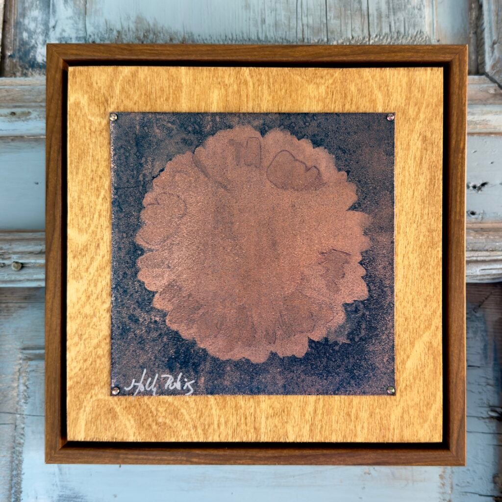 Daisy Copper (Cyanotype)