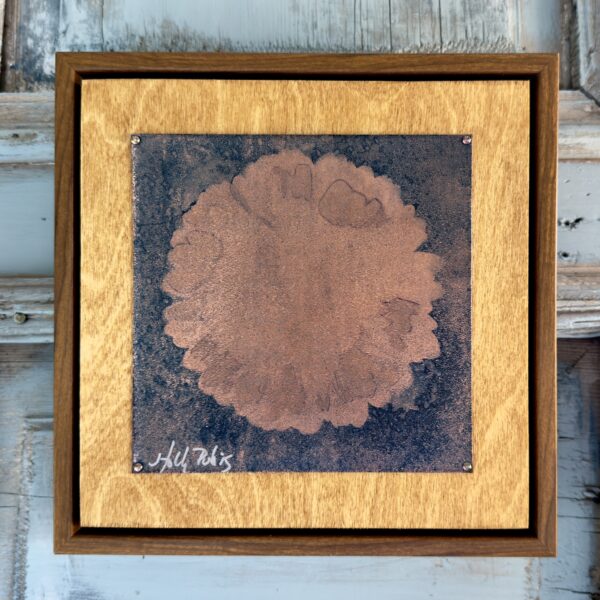 Daisy Copper (Cyanotype)