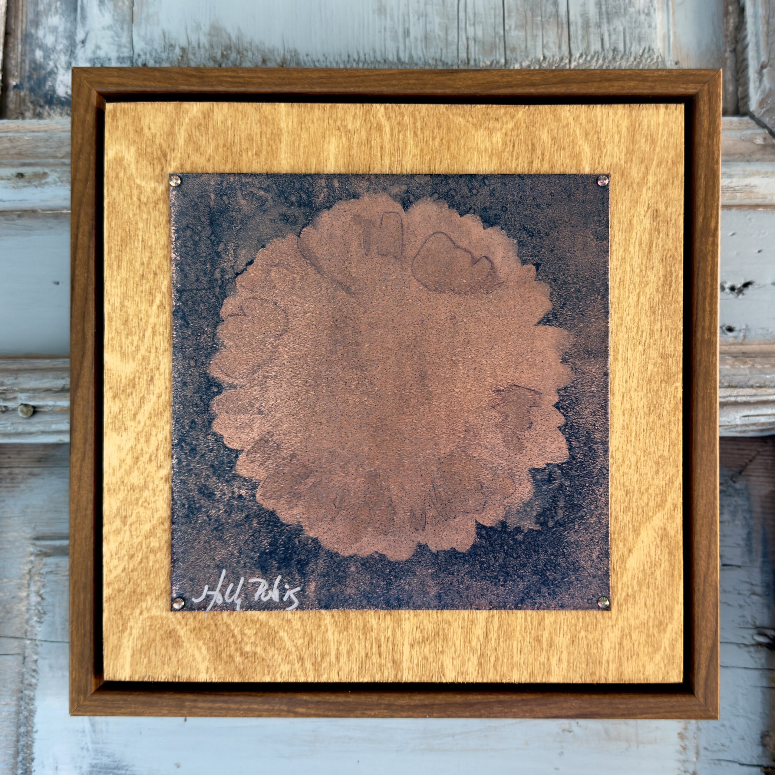 Daisy Copper (Cyanotype) - Image 1