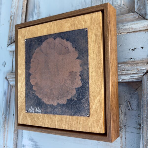 Daisy Copper (Cyanotype)