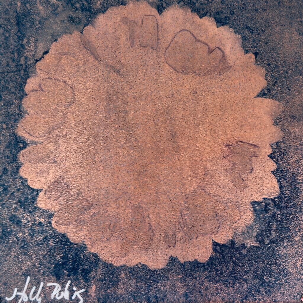 Daisy Copper (Cyanotype)