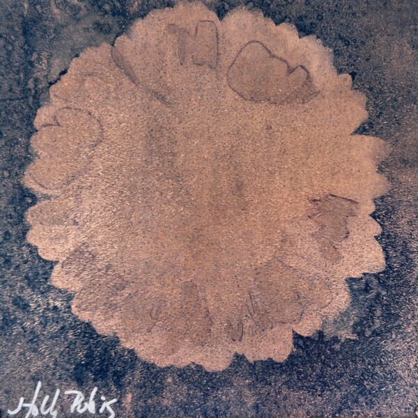 Daisy Copper (Cyanotype)