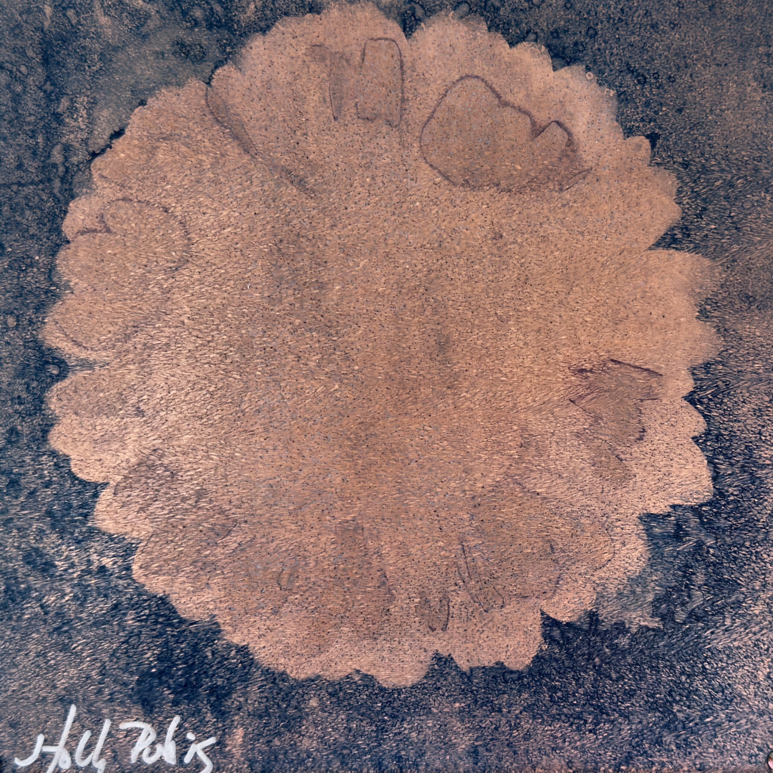 Daisy Copper (Cyanotype) - Image 2