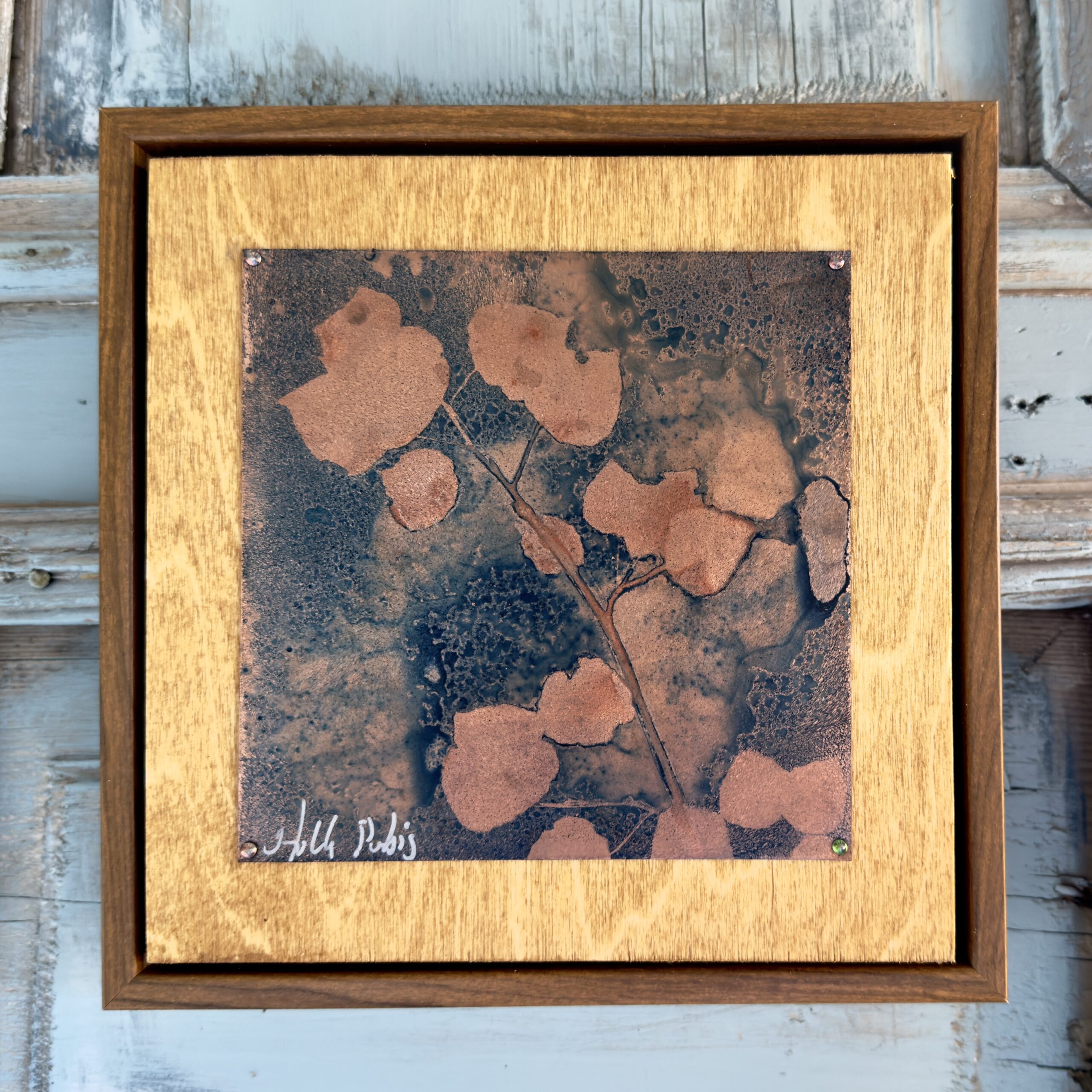 Aspen Copper (Cyanotype) - Image 1