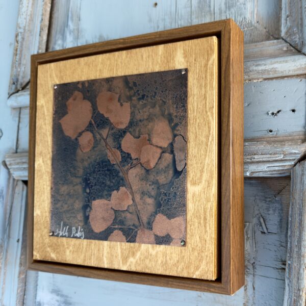 Aspen Copper (Cyanotype)