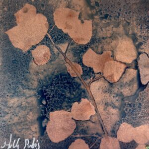 Aspen Copper (Cyanotype) - Image 2