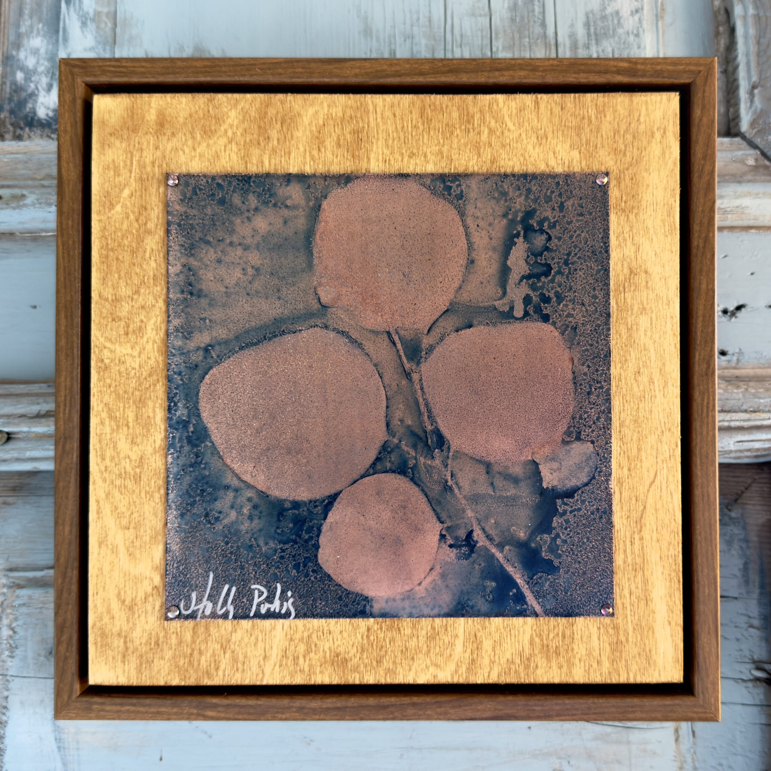 Eucalyptus Copper (Cyanotype) - Image 1