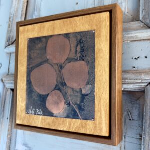 Eucalyptus Copper (Cyanotype) - Image 4