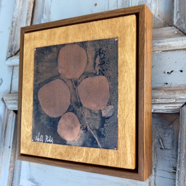 Eucalyptus Copper (Cyanotype)