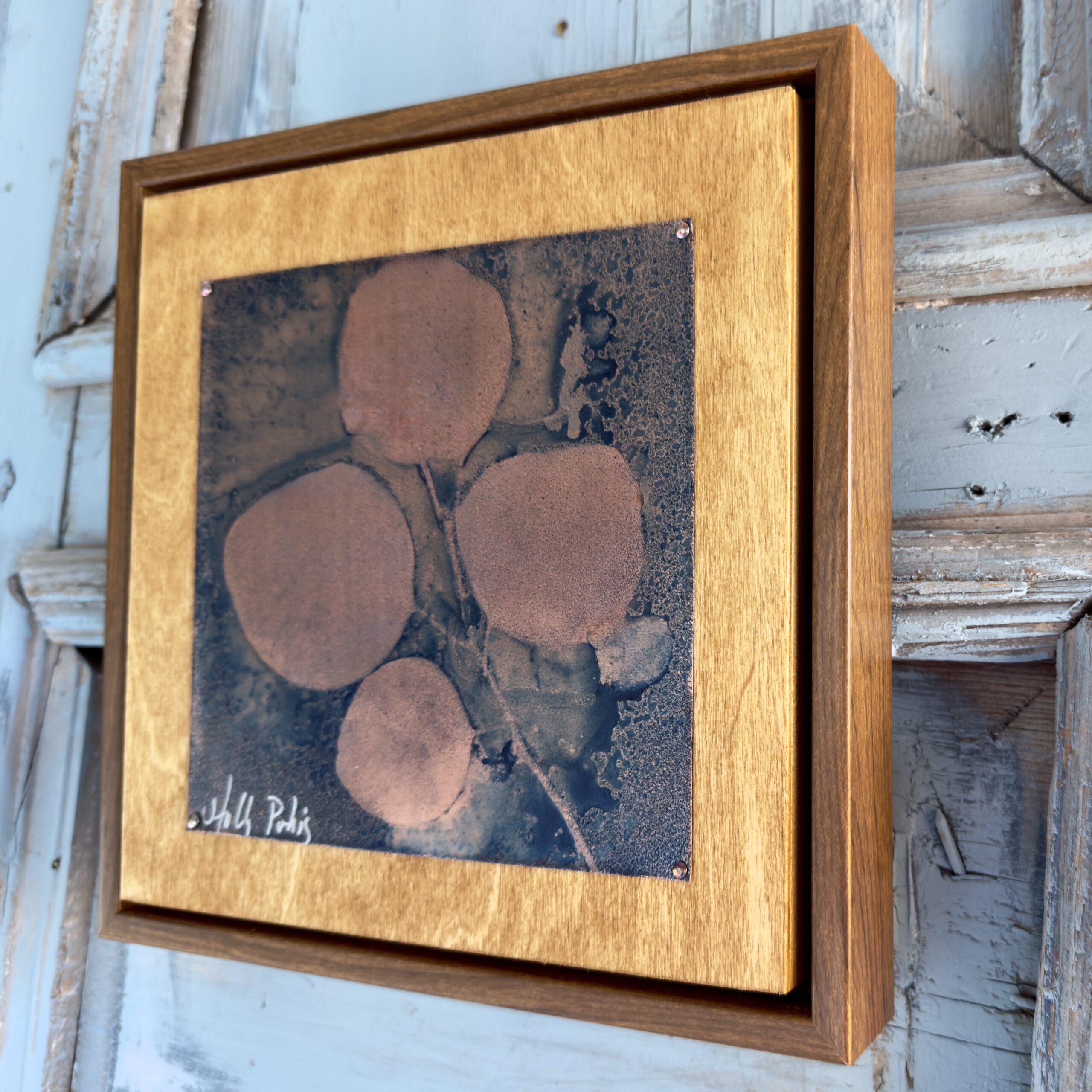 Eucalyptus Copper (Cyanotype) - Image 4