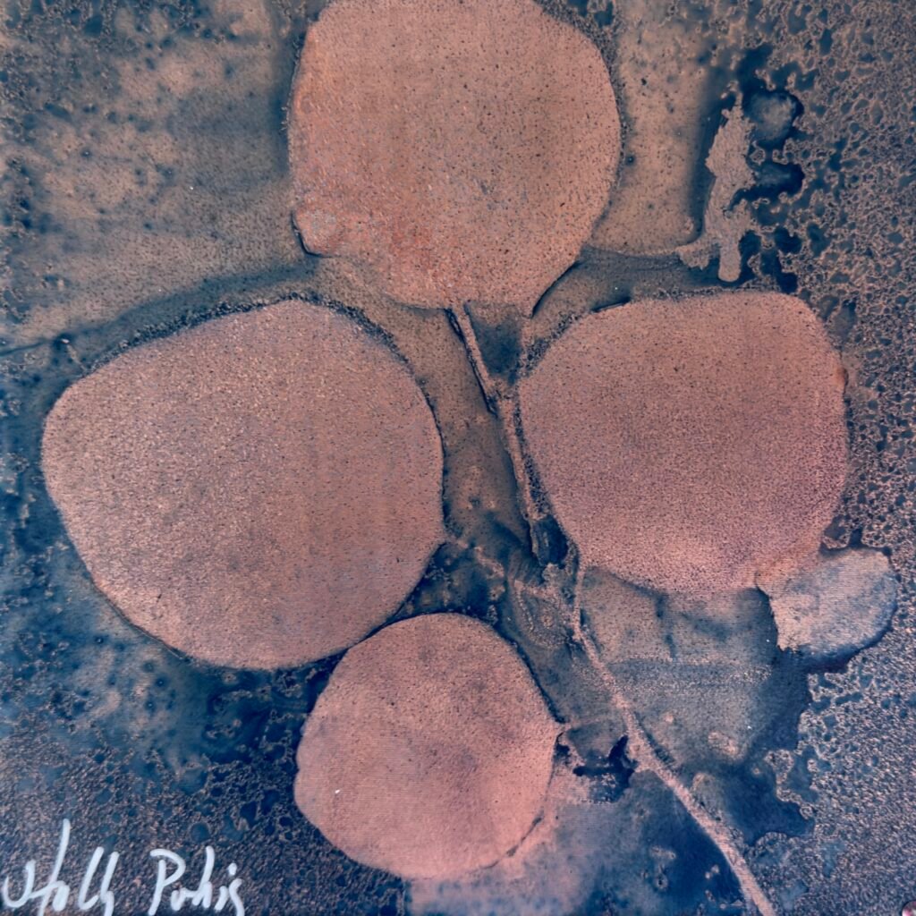 Eucalyptus Copper (Cyanotype)