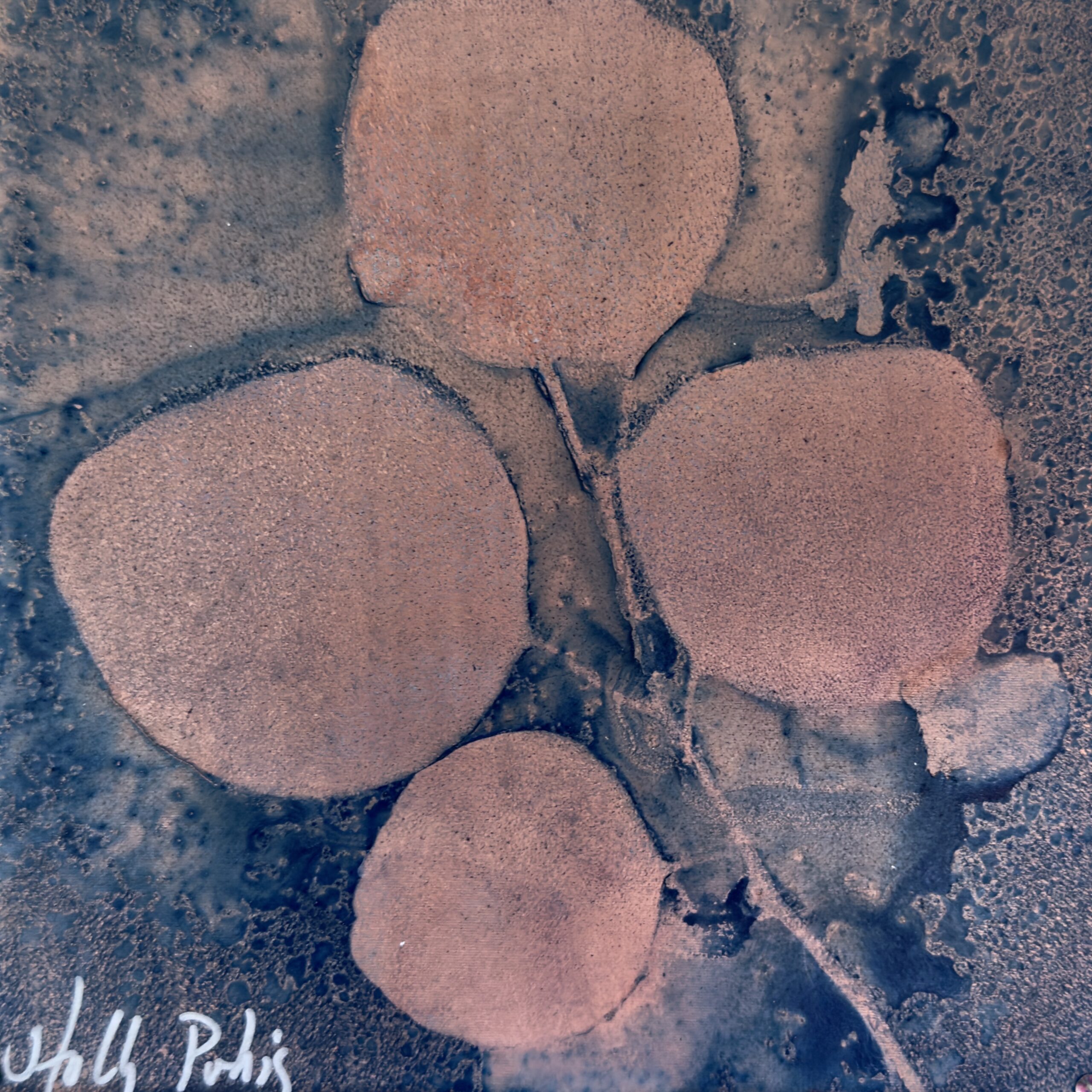 Eucalyptus Copper (Cyanotype) - Image 2