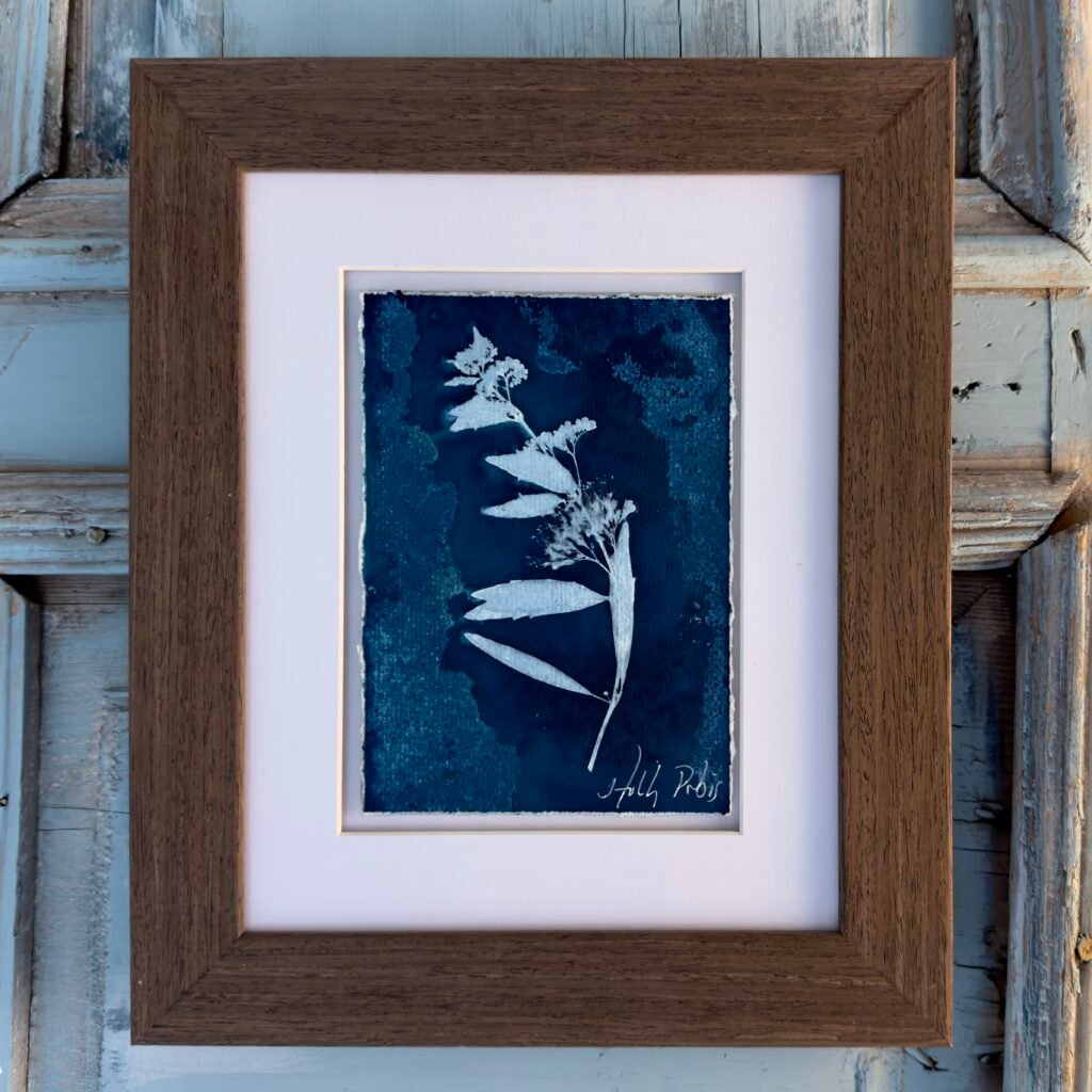 Southwest Cyan 3 (Cyanotype)