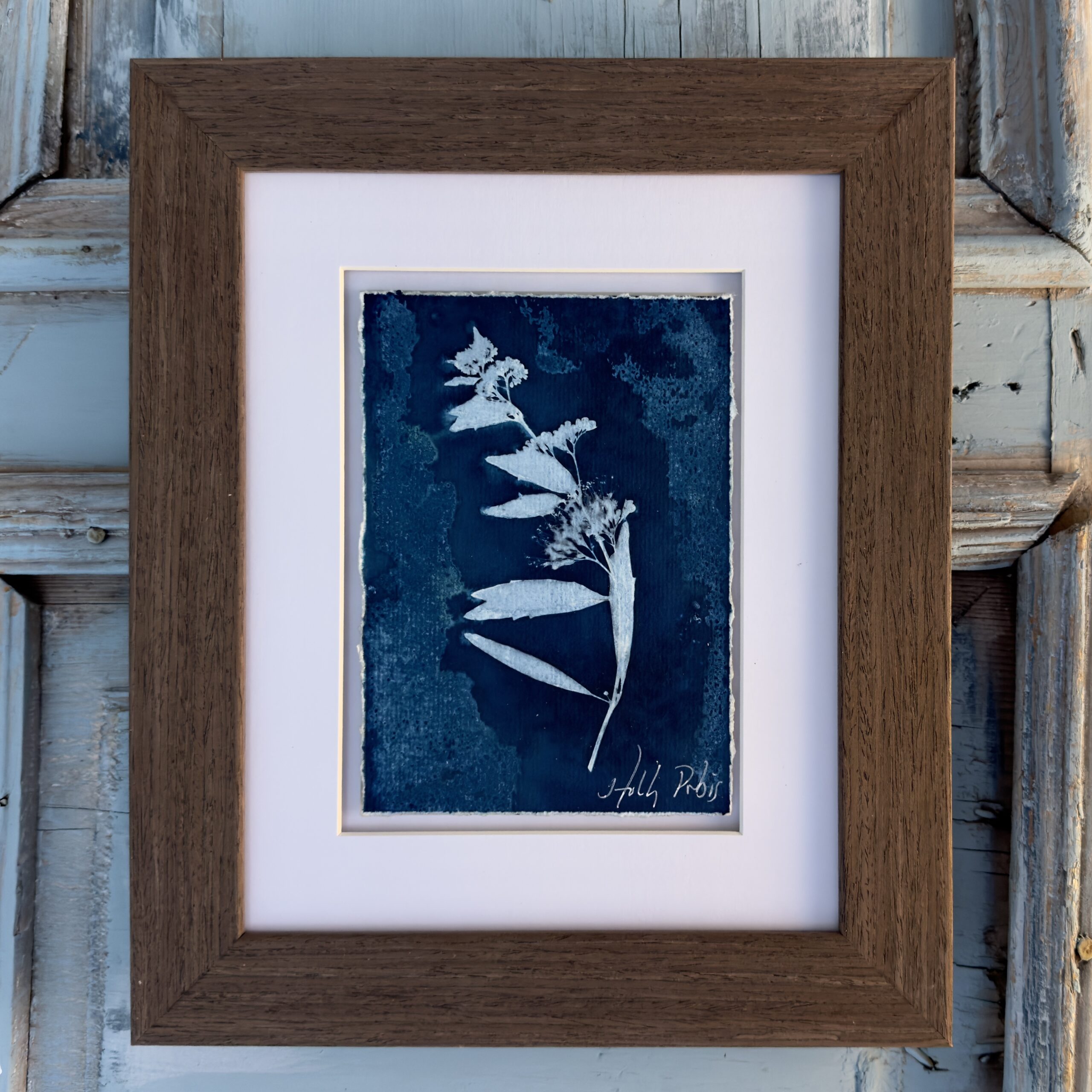 Southwest Cyan 3 (Cyanotype) - Image 1