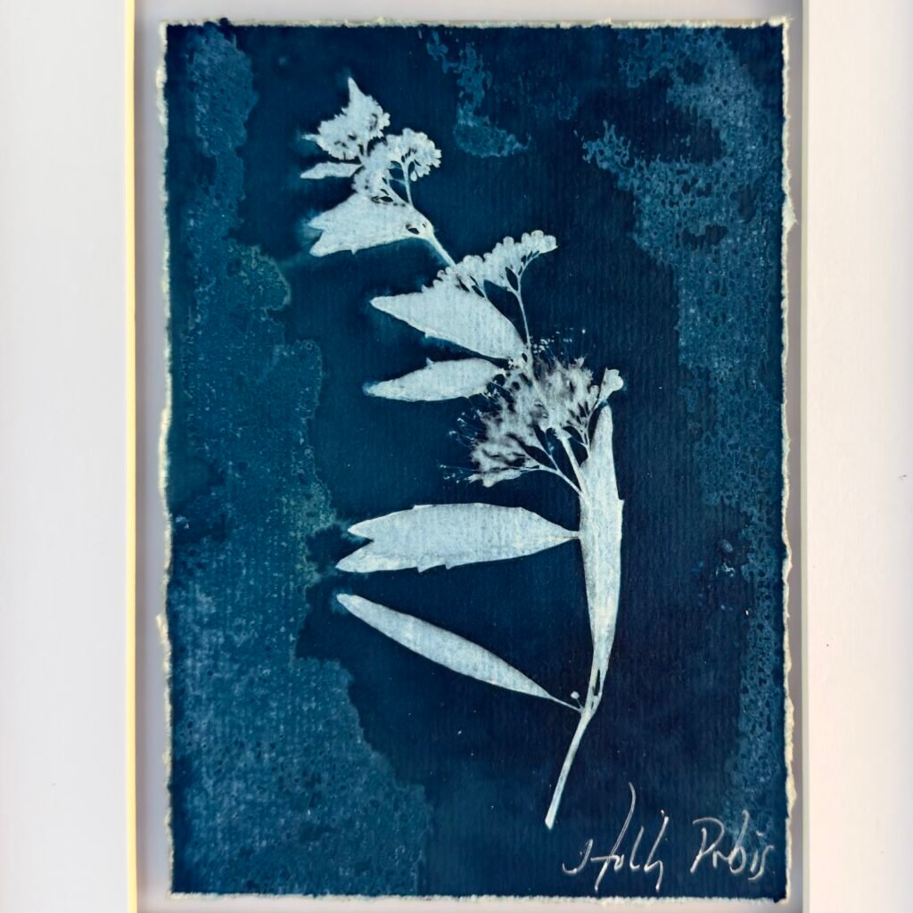 Southwest Cyan 3 (Cyanotype)
