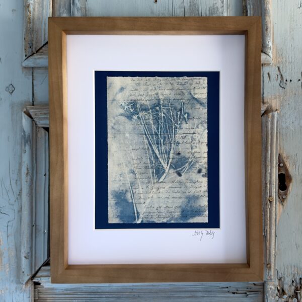 Bleu Cyan 5 (Cyanotype)