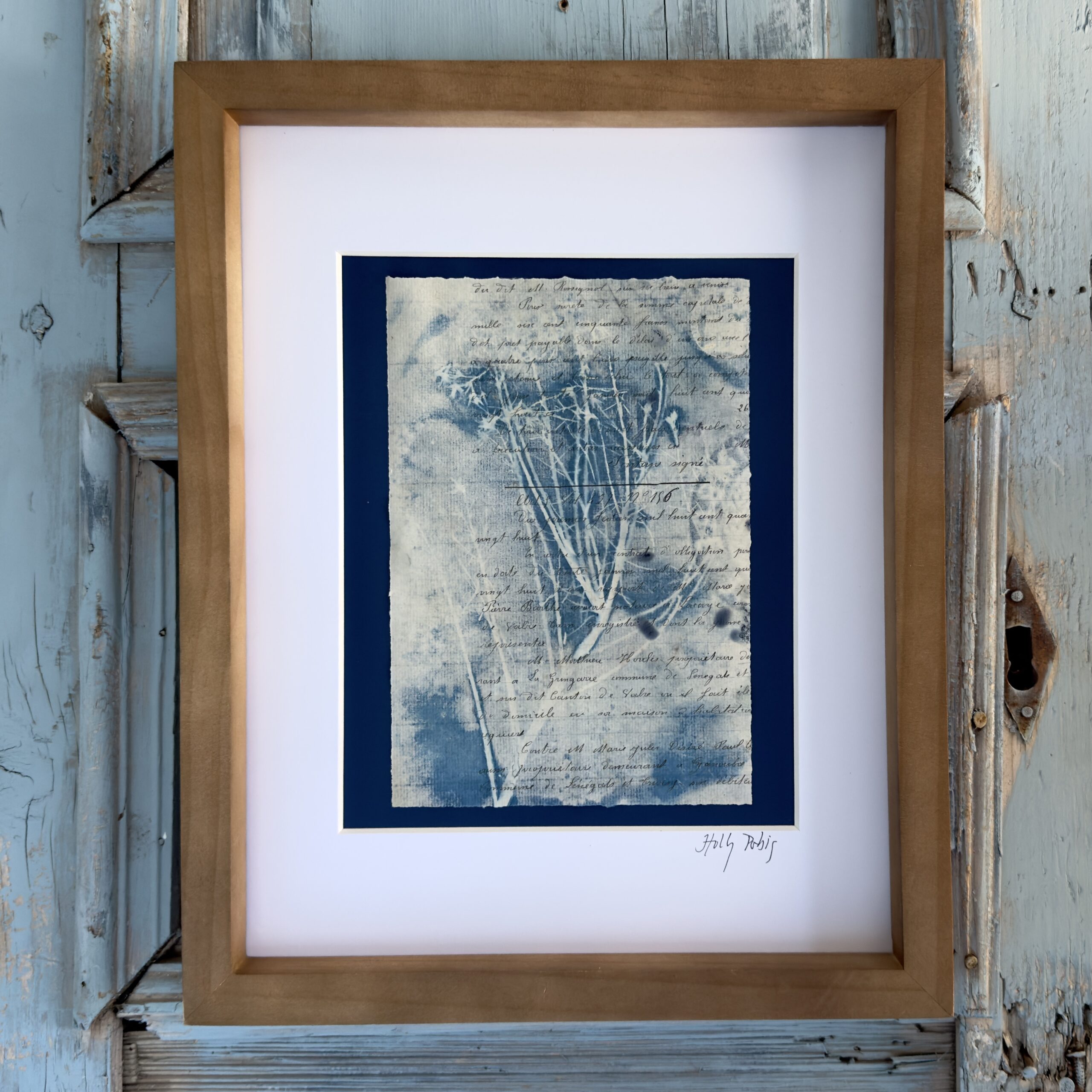 Bleu Cyan 5 (Cyanotype) - Image 1
