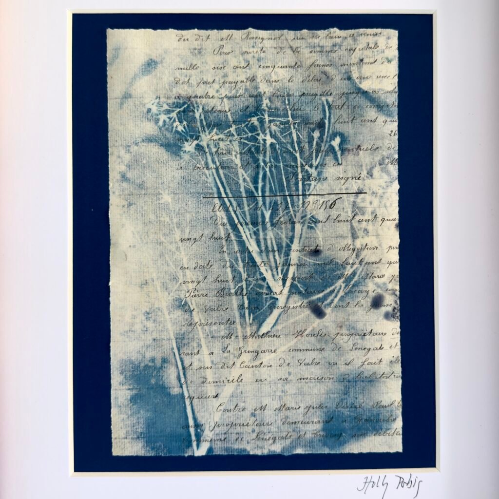 Bleu Cyan 5 (Cyanotype)