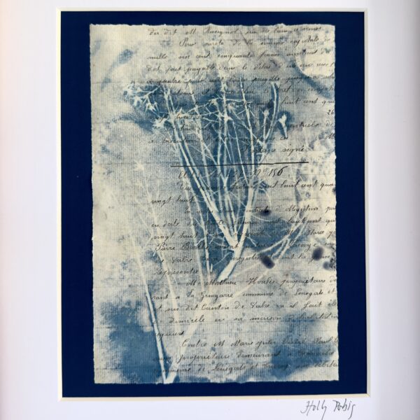 Bleu Cyan 5 (Cyanotype)