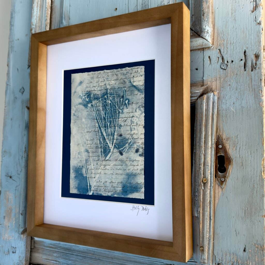Bleu Cyan 5 (Cyanotype)