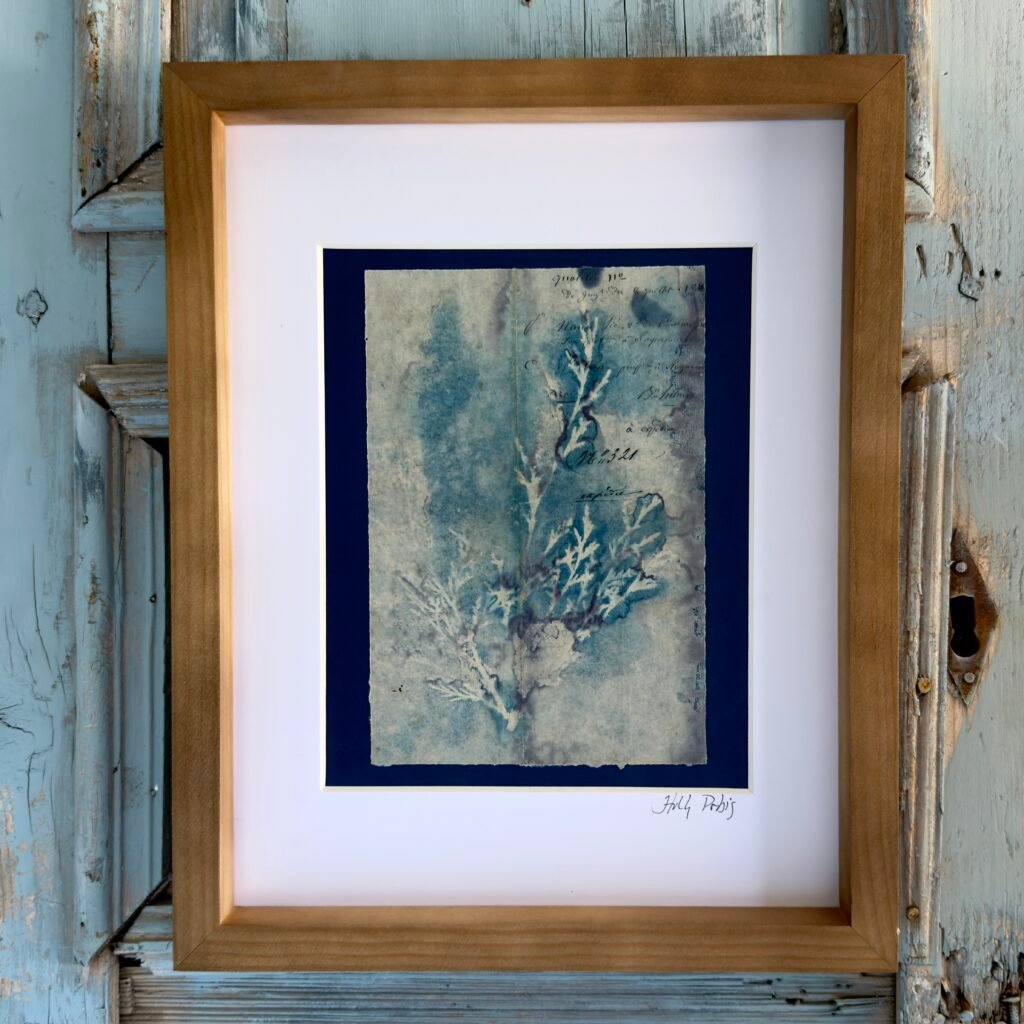 Bleu Cyan 6 (Cyanotype)