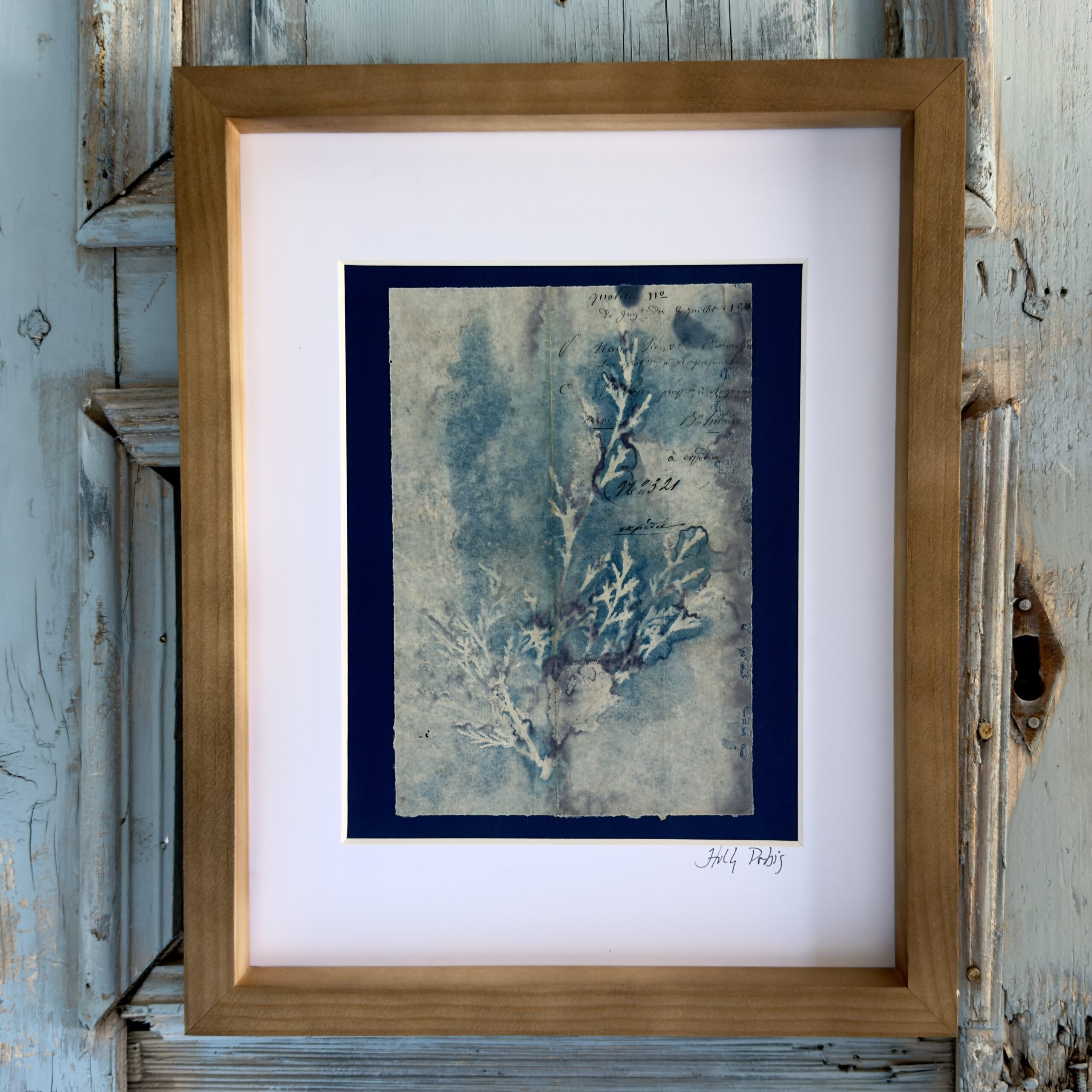 Bleu Cyan 6 (Cyanotype) - Image 1