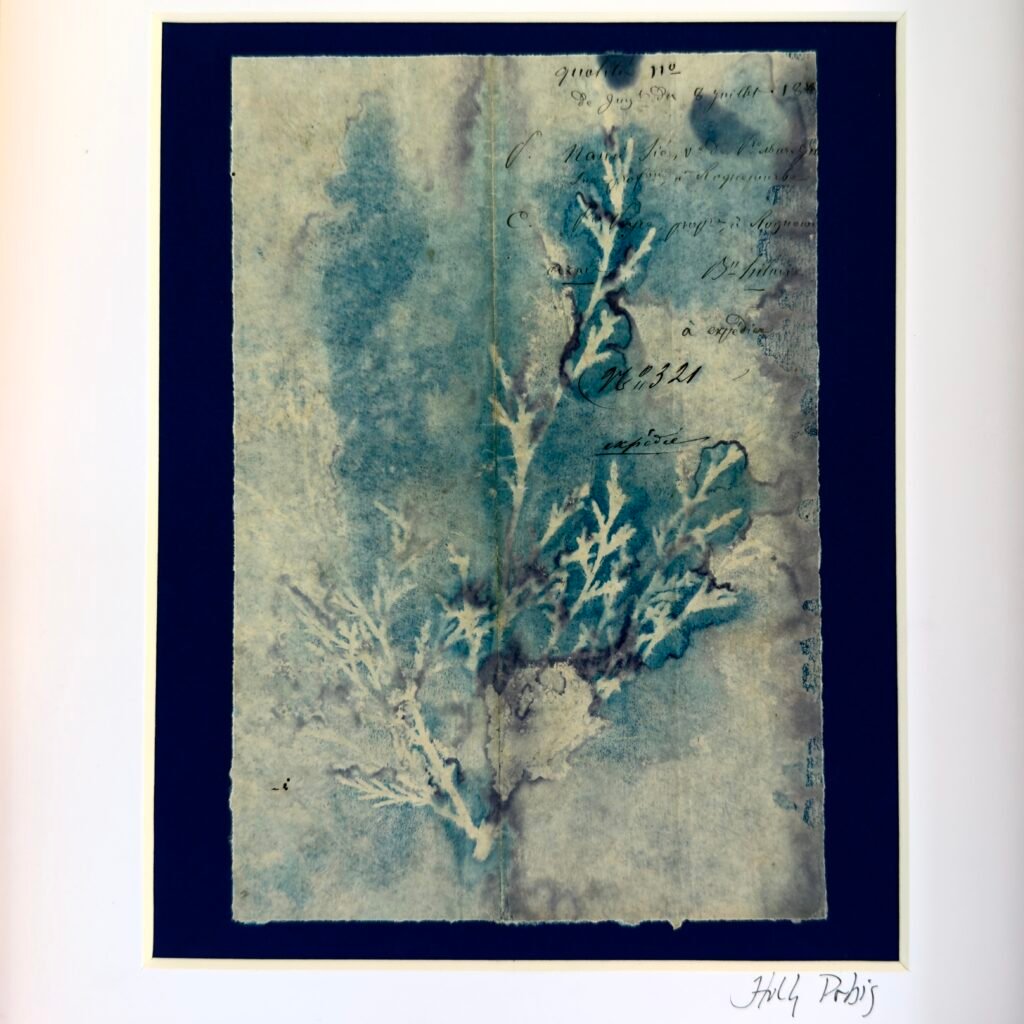 Bleu Cyan 6 (Cyanotype)