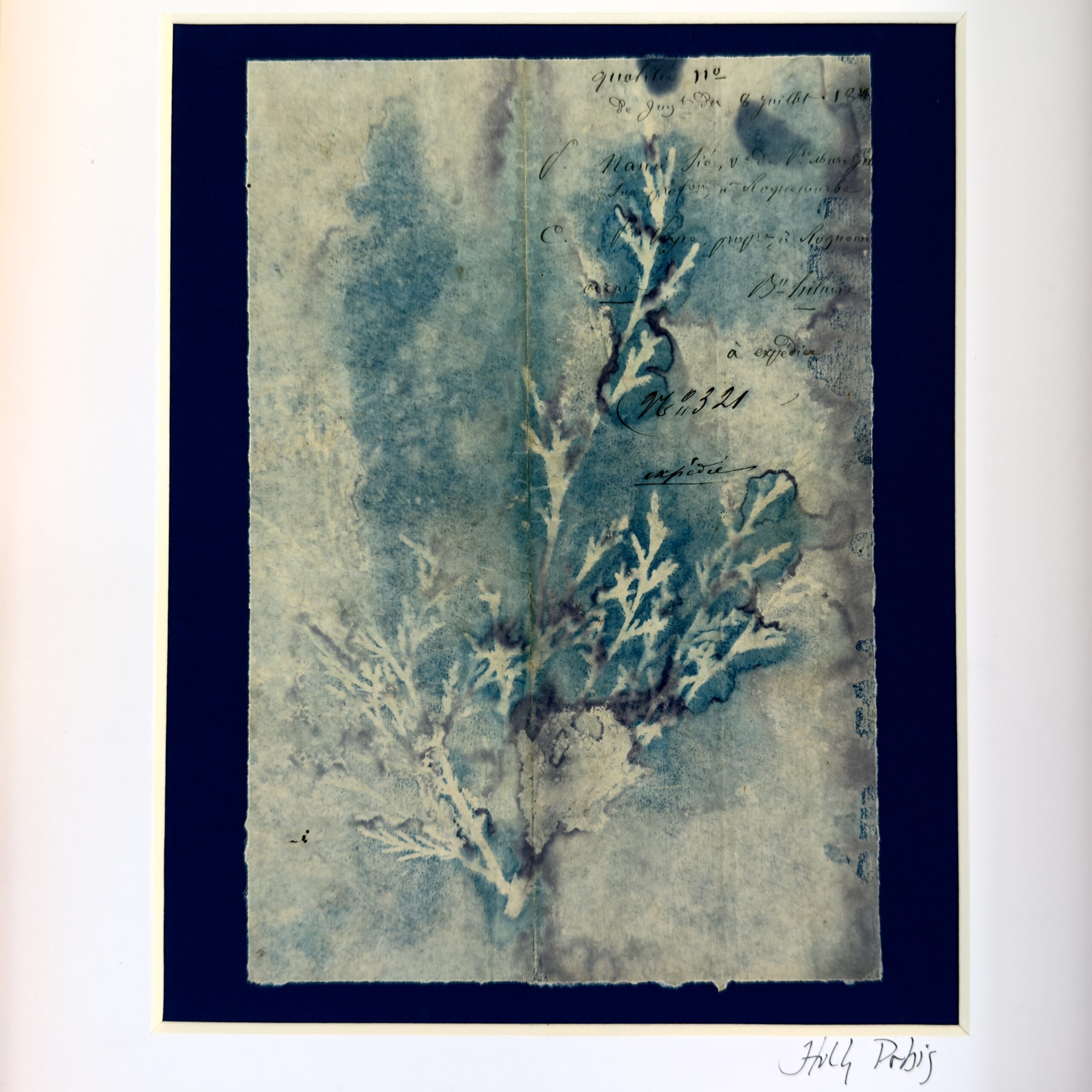 Bleu Cyan 6 (Cyanotype) - Image 2