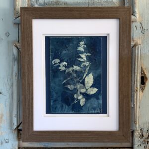 Bleu Cyan 3 (Cyanotype)
