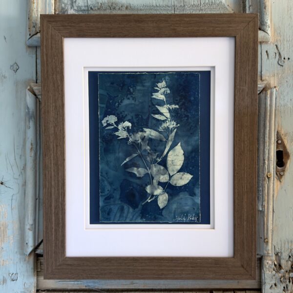 Bleu Cyan 3 (Cyanotype)