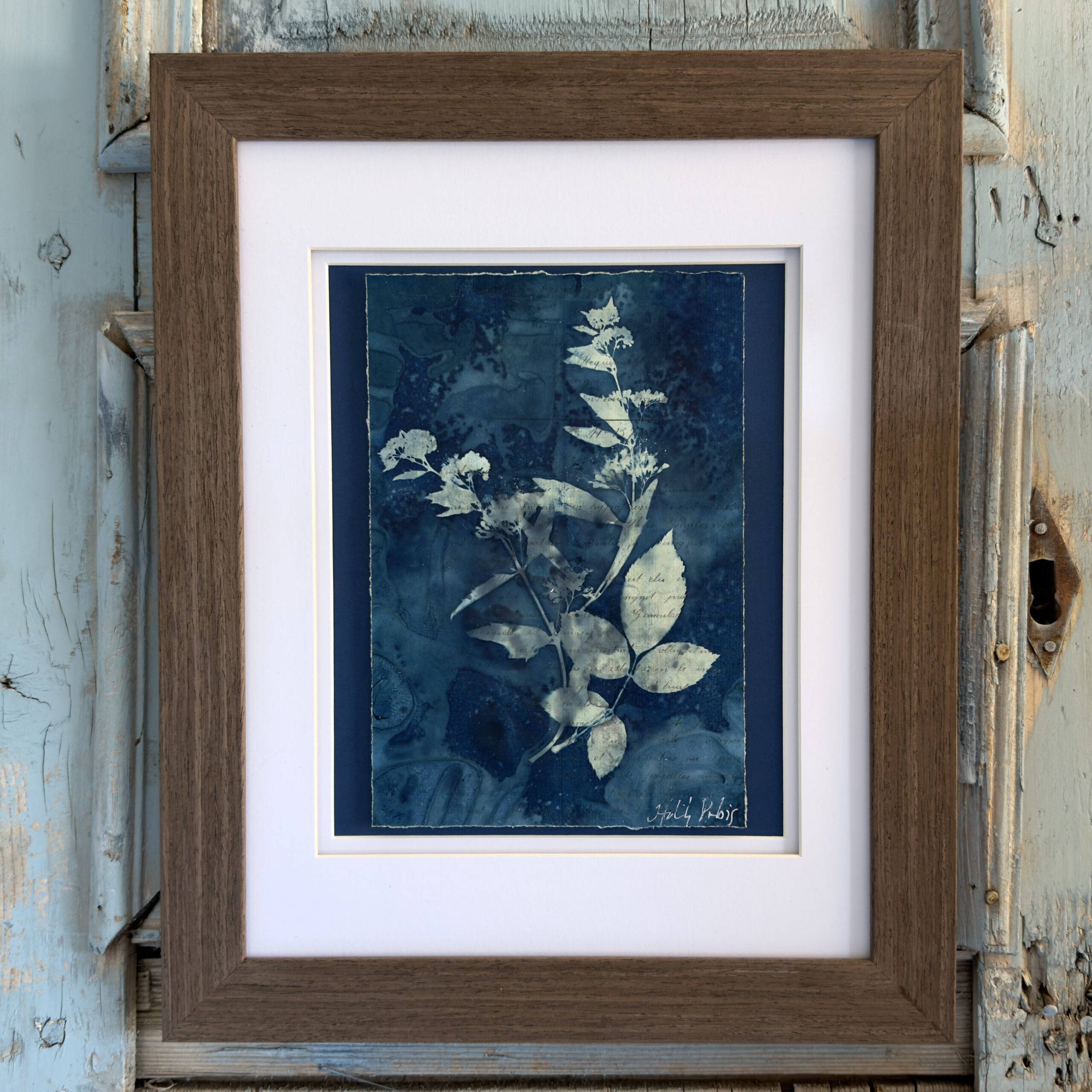 Bleu Cyan 3 (Cyanotype) - Image 1