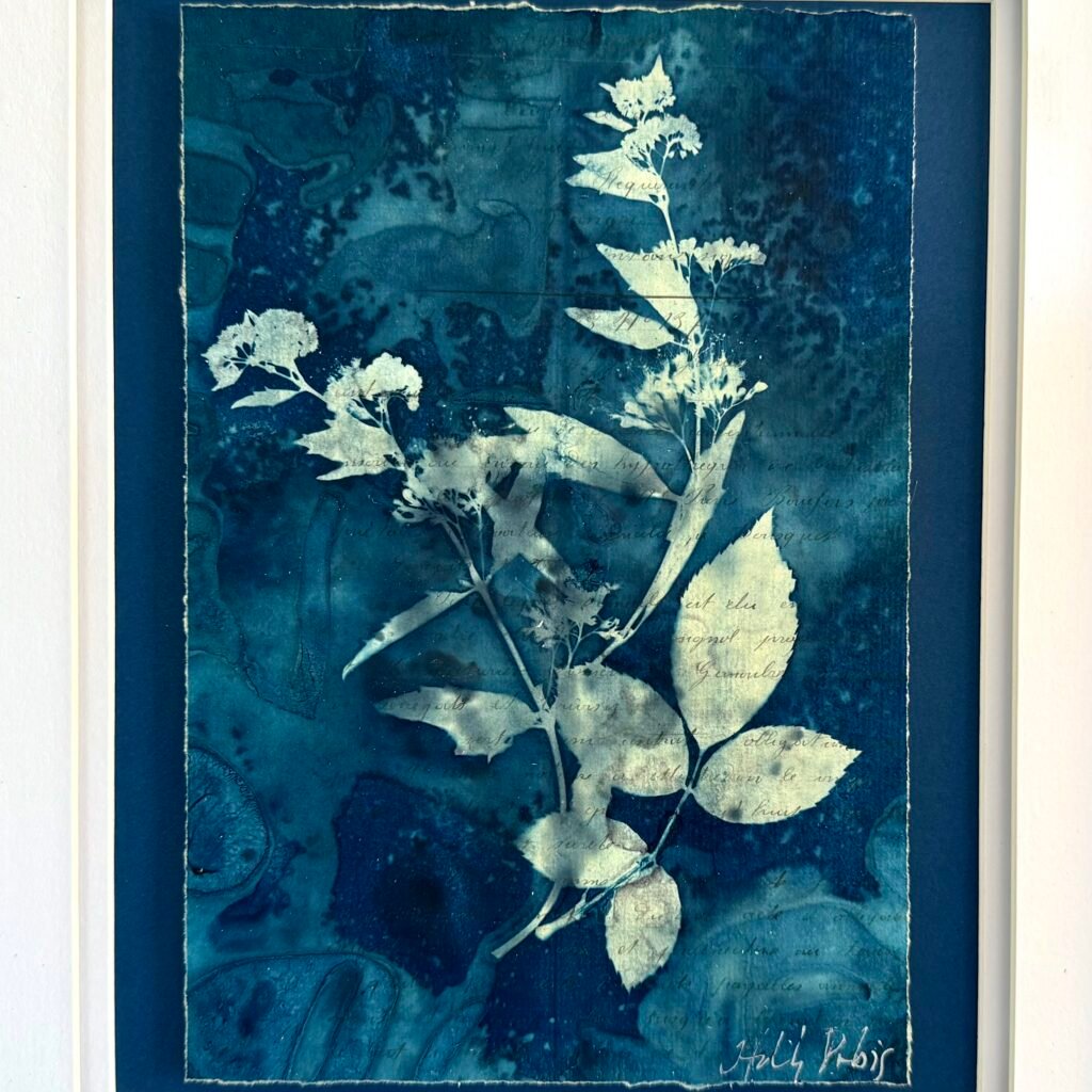 Bleu Cyan 3 (Cyanotype)