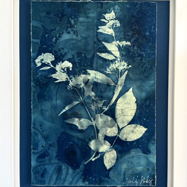 Bleu Cyan 3 (Cyanotype)