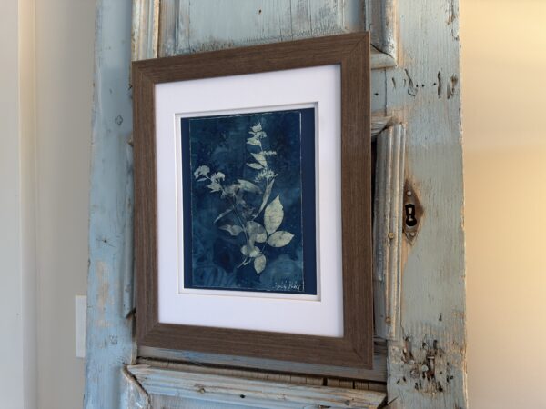 Bleu Cyan 3 (Cyanotype)